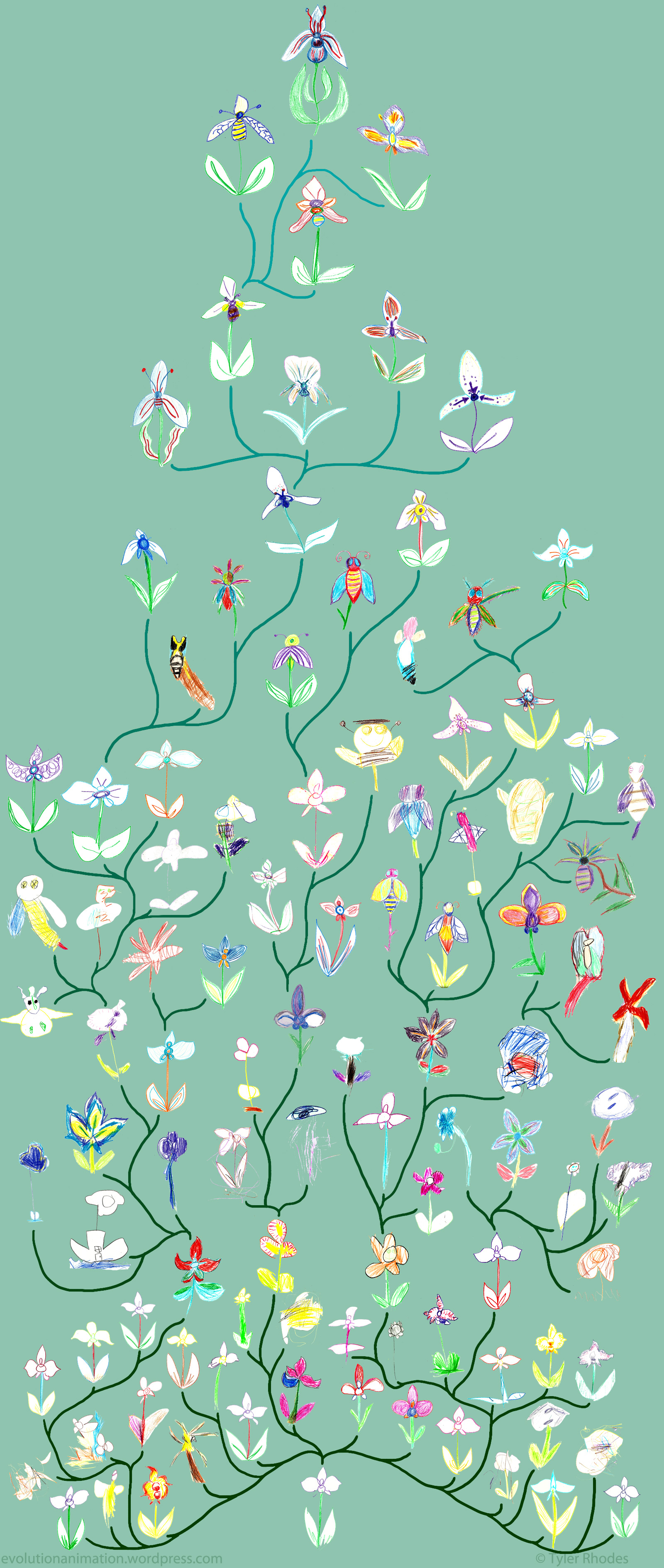 tyler-rhodes-lewis-ginter-botanical-gardens-orchid-evolution-tree.jpg