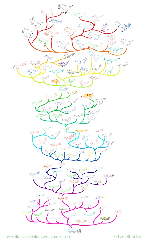 tyler-rhodes-evolution-phylogenetic-tree-extended-app.jpg?w=580&h=961